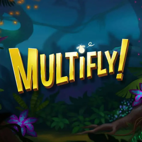 multifly